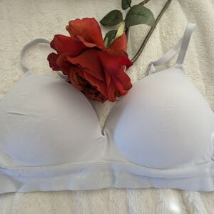 Victoria's Secret Light Gray/💙 Bra